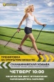Скандинавская ходьба Скандинавская ходьба